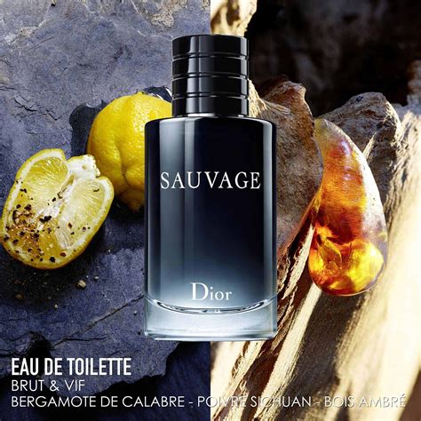 eau de toilette homme dior sauvage|boots Dior Sauvage 100ml.